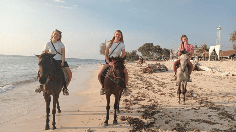 Gili Trawangan: Horse Riding on the Beach - Suitability and Restrictions