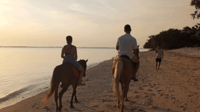 Gili Trawangan: Horse Riding on the Beach - Customer Feedback