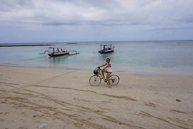 Gili Trawangan Island Day Trip From Bali - Overview of the Day Trip