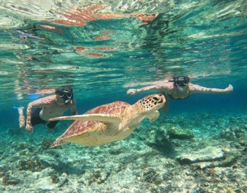 Gili Trawangan Lombok Day Tour Package - Free Cancellation and Payment