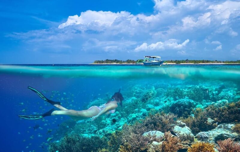 Gili Trawangan: Private or Share Guided Snorkeling Tour - Meeting Point and Availability