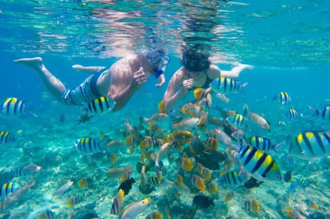 Gili Trawangan: Private or Share Guided Snorkeling Tour - Tour Duration and Pricing