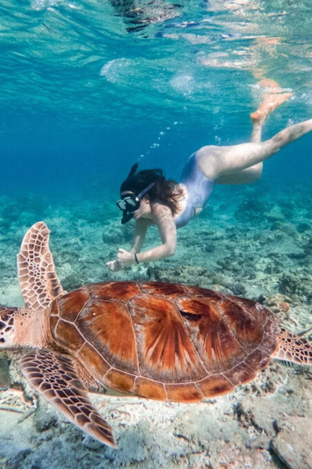 Gili Trawangan: Private or Share Guided Snorkeling Tour - Exploring the Gili Islands
