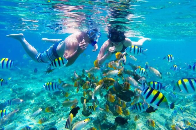Gili Trawangan: Private or Share Guided Snorkeling Tour - Frequently Asked Questions