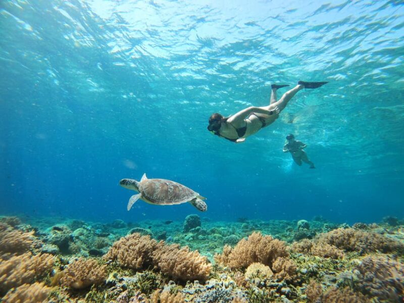 Gili Trawangan: Private Snorkeling (Coral, Statues, Turtles) - Snorkeling Locations