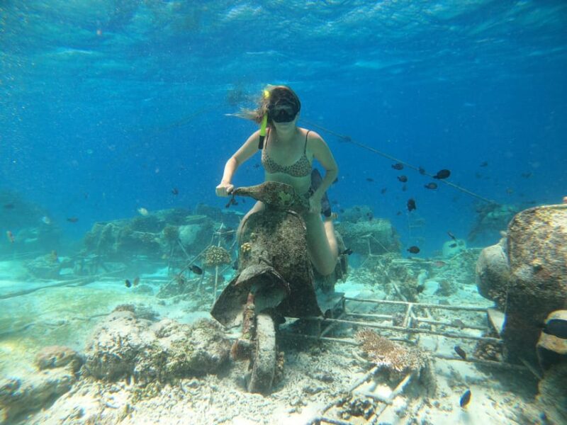 Gili Trawangan: Private Snorkeling (Coral, Statues, Turtles) - Inclusions