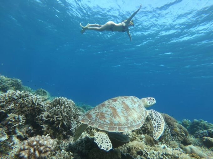Gili Trawangan: Private Snorkeling (Coral, Statues, Turtles) - Cancellation and Payment