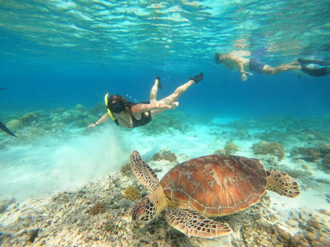 Gili Trawangan: Private Snorkeling (Coral, Statues, Turtles) - Suitability and Restrictions