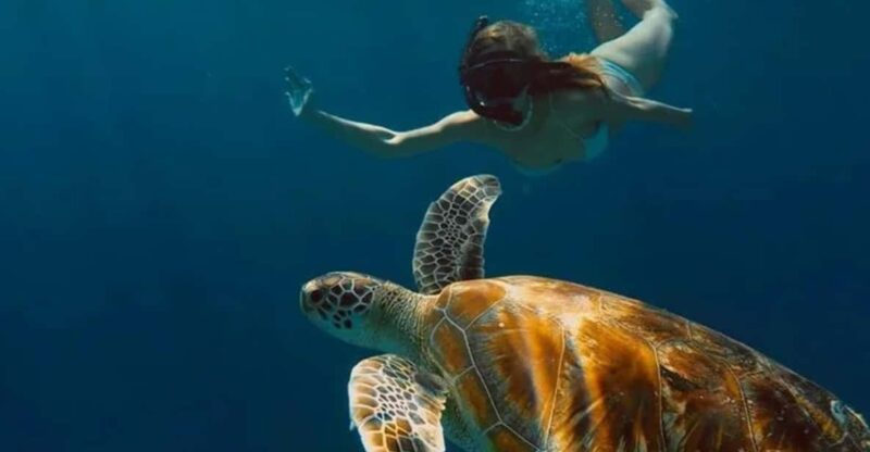 Gili Trawangan : Private Snorkeling Sunrise and Sunset Tour - Key Points