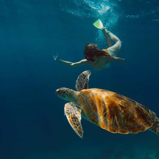 Gili Trawangan : Private Snorkeling Sunrise and Sunset Tour - Tour Itinerary