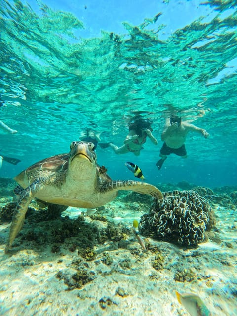 Gili Trawangan : Private Snorkeling Sunrise and Sunset Tour - Sunrise Tour Package