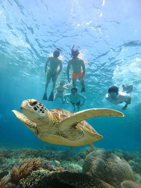 Gili Trawangan : Private Snorkeling Sunrise and Sunset Tour - Health and Safety Restrictions