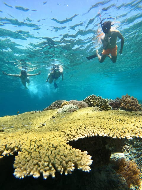 Gili Trawangan : Private Snorkeling Sunrise and Sunset Tour - Customer Reviews