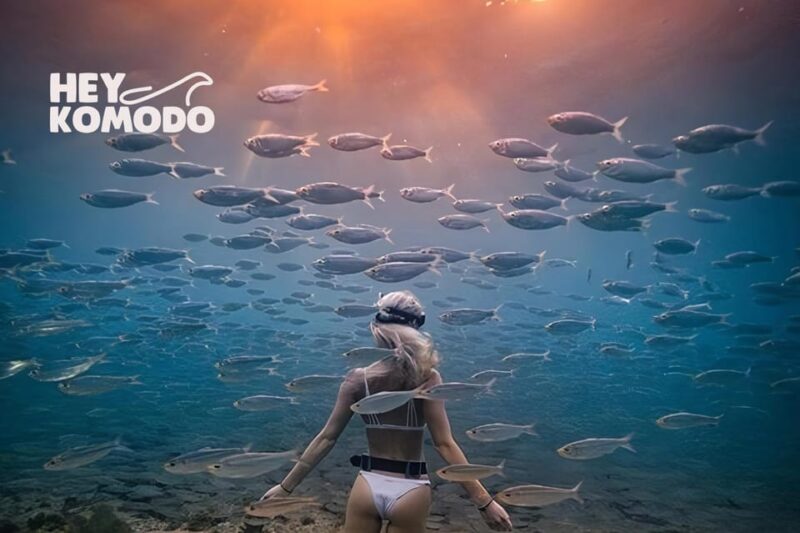 Gili Trawangan Sharing Snorkeling 3 Gili Morning Or Sunset - Important Information and Reviews