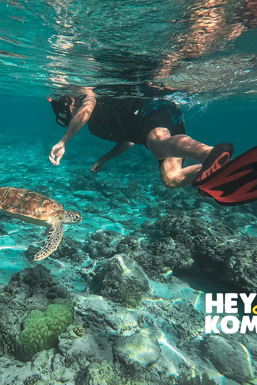 Gili Trawangan Snorkeling Private Tour With Turtle 6,5 Hours - Tour Overview