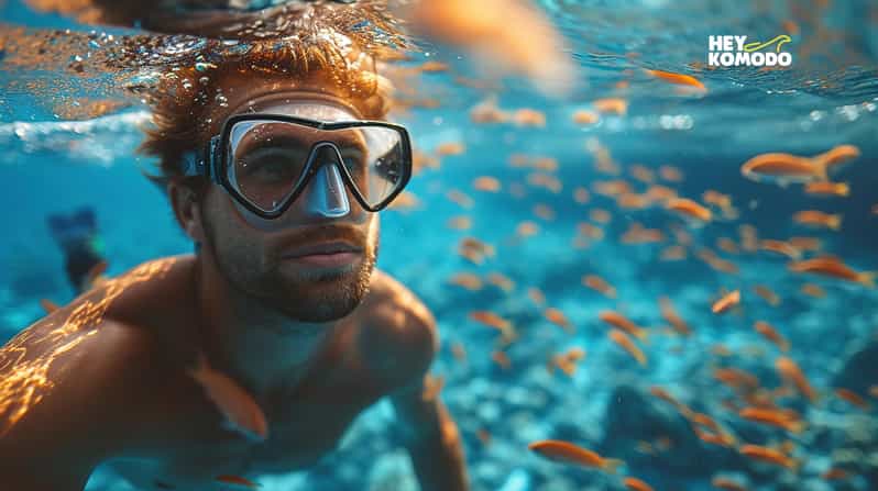 Gili Trawangan Snorkeling Private Tour With Turtle 6,5 Hours - Snorkeling Locations