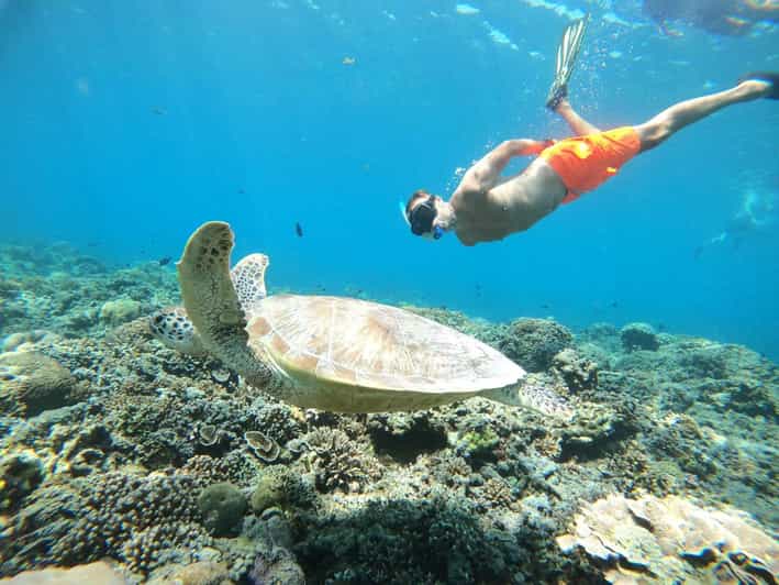 Gili Trawangan : Snorkeling Swimming With Turtle & Statue - Itinerary and Experience