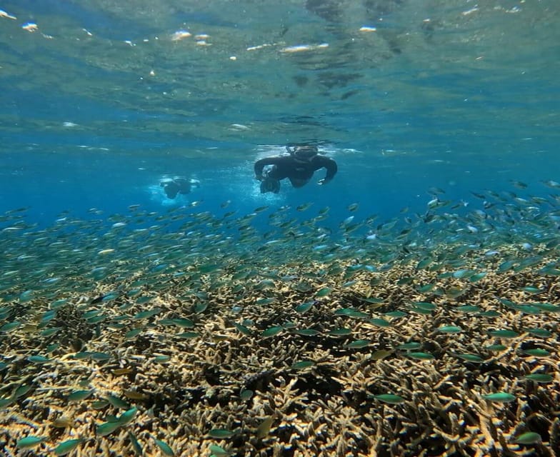 Gili Trawangan : Snorkeling Swimming With Turtle & Statue - Participant Restrictions