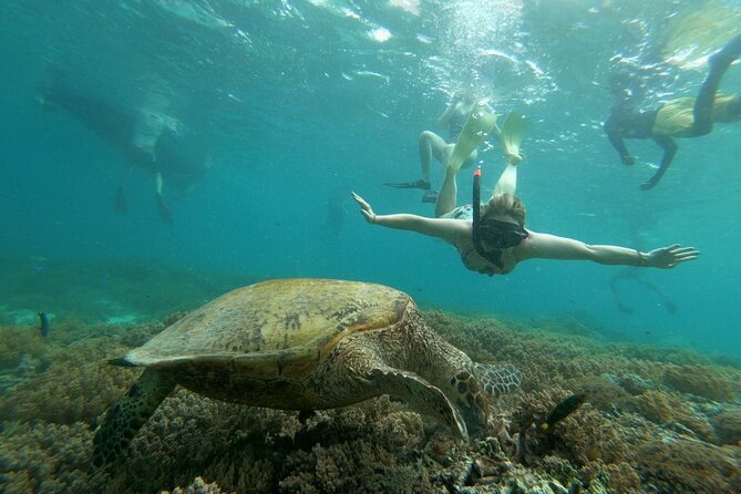 Gili Trawangan,Gili Meno& Gili Air Island:Snorkeling Day Trip Depart From Lombok - Convenient Logistics and Hotel Pickups