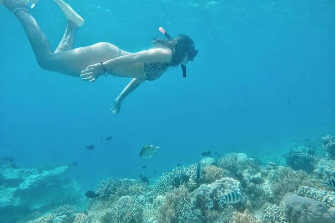 Gili Trawangan,Gili Meno& Gili Air Island:Snorkeling Day Trip Depart From Lombok - Relaxing Time on Gili Trawangan