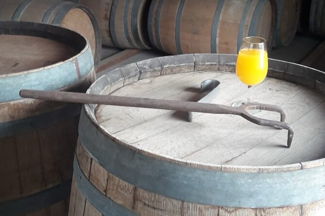 Gin and Rum Distillery Tour - Gin-Making Process Exploration
