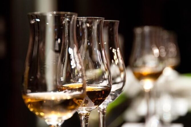 Gin & Rum Tasting in Frankfurt Am Main - Cocktail Tastings