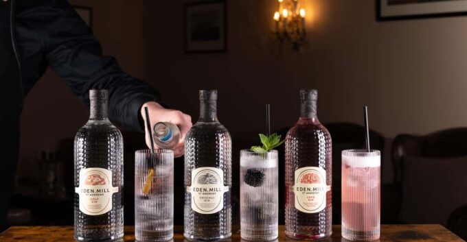 Gin Tasting Experience With a Perfect Serve - Customer Testimonials