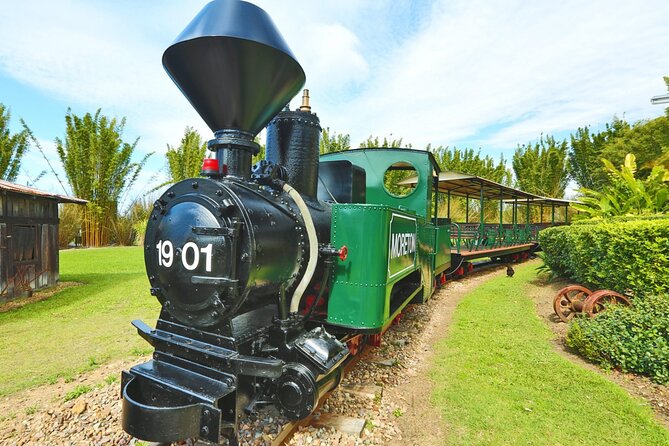 Ginger Factory and Nutworks Return Bus Transfer: Sunshine Coast - Duration and Activities