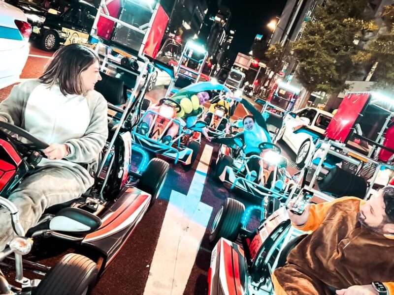 GINZA:Go Kart Experience With NEO GINZA - Included Services