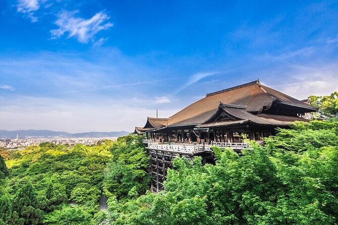 Gion and Kiyomizu Temple Tour to Enjoy Kyoto in a Short Time - Tour Details and Cost Breakdown