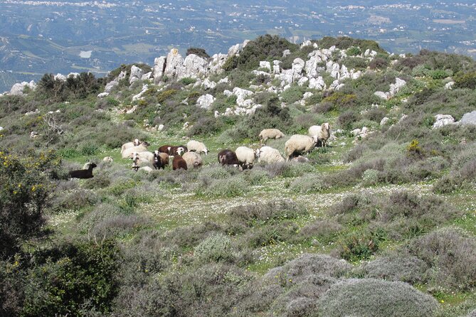 Giouhtas Mount Trekking - Lunch Pack and Trekking Gear