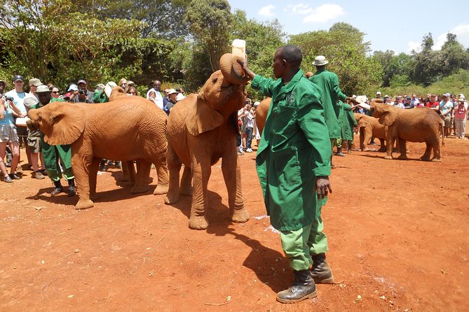 Giraffe Center, Elephant Orphanage and Beads Center - Key Points