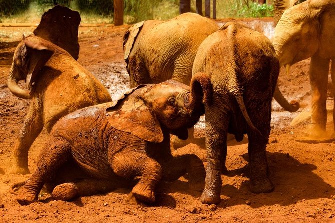Giraffe Center, Elephant Orphanage and Beads Center - Beads Center Exploration