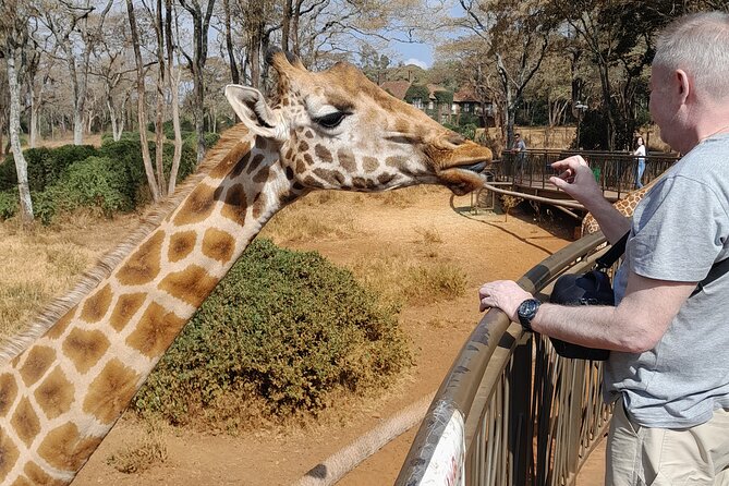 Giraffe Centre and Animal Orphanage Guided Tour In Nairobi. - Pickup Information