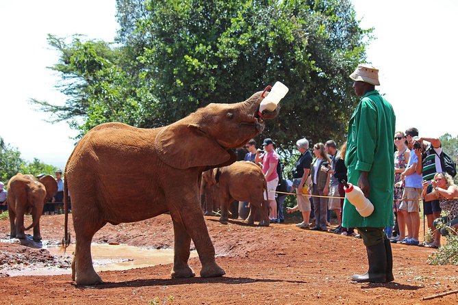 Giraffe Centre, Elephant Orphanage, and Bomas of Kenya Day Tour From Nairobi - Bomas of Kenya Experience