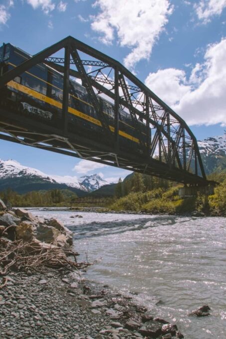 Girdwood: Bears, Trains, & Icebergs Tour - Important Information