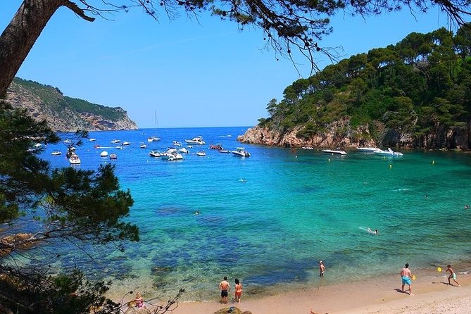 Girona City + Costa Brava Tour - Navigating the Private Tour Experience