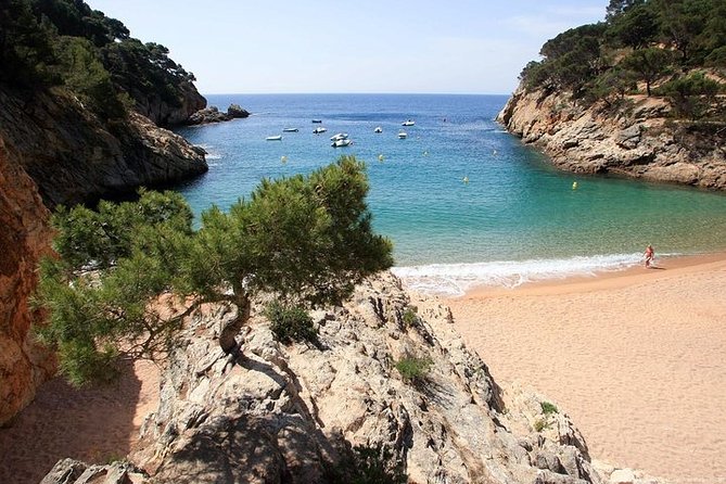 Girona City + Costa Brava Tour - Taking in the Costa Brava