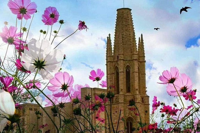 Girona Guided Tour With Cathedral, Arab Baths & St Feliu Basilica - Group Size and Accessibility