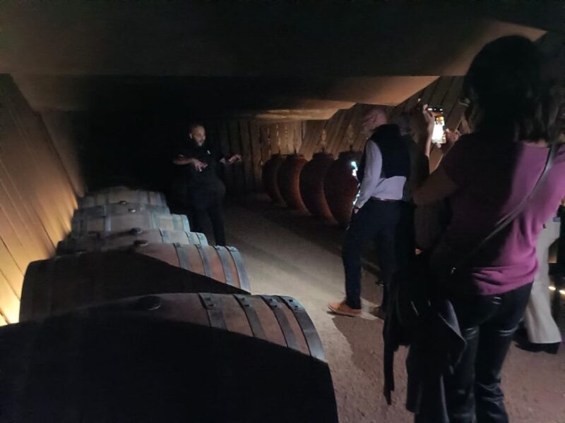 Girona: Local Wineries Tour With Breakfast and Wine Tasting - Tour Itinerary