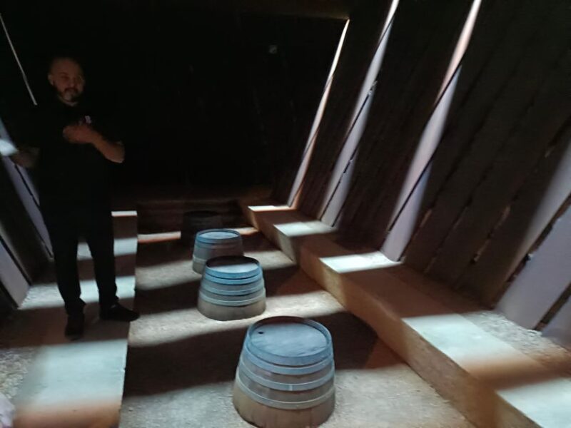 Girona: Local Wineries Tour With Breakfast and Wine Tasting - Terra Remota