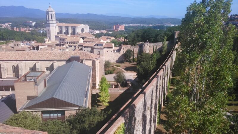 Girona: Small Group Jewish History Tour of Girona and Besalú - Expert Local Guide