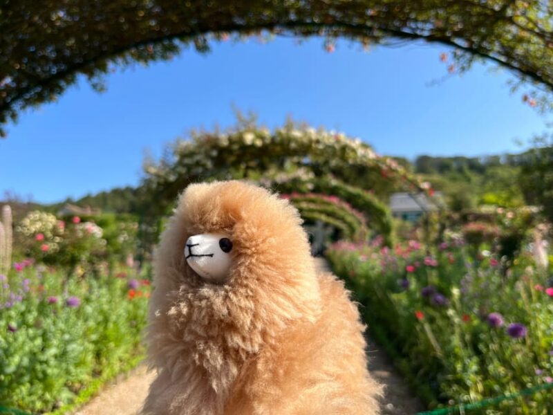 Giverny Half-day Private Tour by Comfort Car - Key Points
