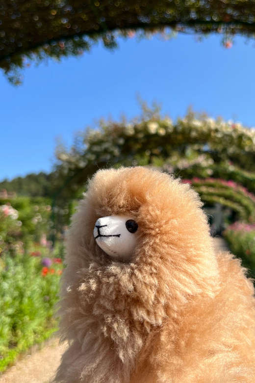 Giverny Half-day Private Tour by Comfort Car - Pickup Location and Duration