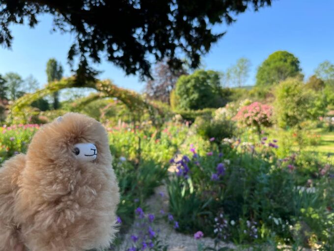 Giverny Half-day Private Tour by Comfort Car - Cancellation and Payment