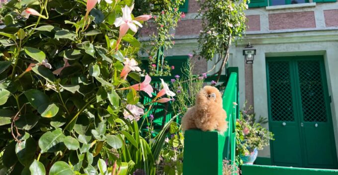 Giverny Half-day Private Tour by Luxury Car - Frequently Asked Questions