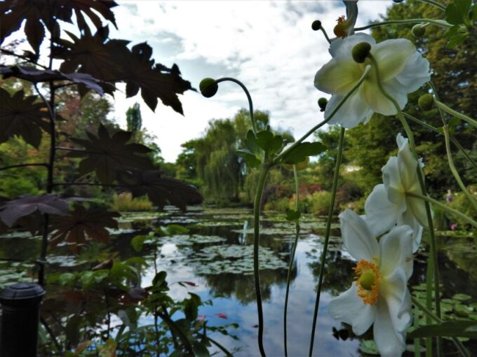 Giverny: Monet's House and Gardens Skip-the-Line Tour - Taking in Monets Artistic Inspiration