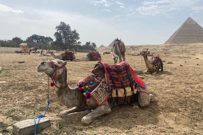 Giza All-Inclusive: Pyramids, Quad, Camel, Dinner Cruise & Shop - Booking and Cancellation