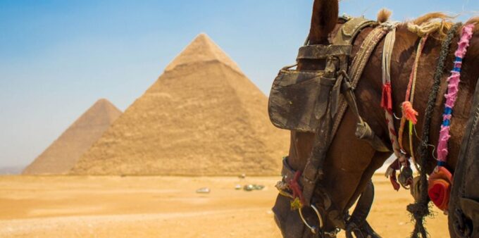 Giza: Arabian Horse Tour Around the Giza Pyramids - Additional Activities