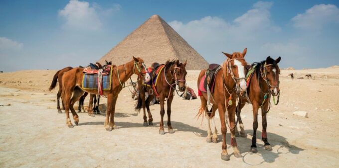Giza: Arabian Horse Tour Around the Giza Pyramids - Frequently Asked Questions